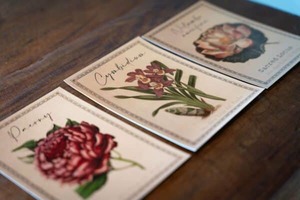 Fine botanical art postcards