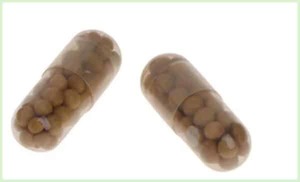 Fertilizer Capsules for your Lotus ‘the smallest’