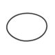 948980 O-Ring