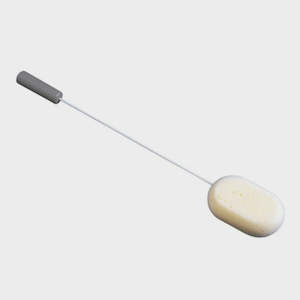 Long Handled Sponge