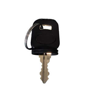 Pride Ignition Keys