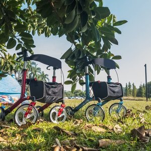 Products: Heavy Terrain & Travel Walker