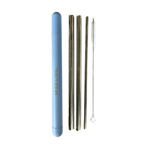 Products: Stainless Steel Straw Set