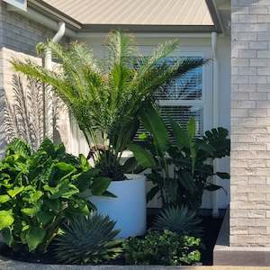 Modscene Planters: Bottomless Cylindrus 800 Planter