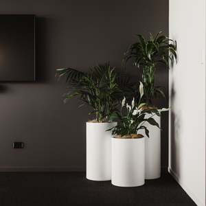 Modscene Planters: Cylindrus Vase Planter Cluster