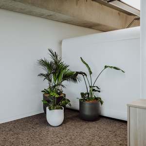 Modscene Planters: Lisbon Planter Cluster