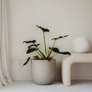 Modscene Planters: Lisbon 400 Planter. 40cm W x 40cm H.