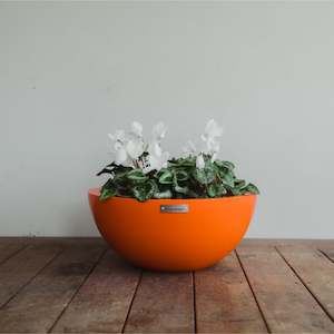 Modscene Planters: Barcelona 500 Bowl Planter