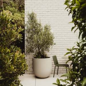 Modscene Planters: Lisbon 750 Planter. 75cm W x 75cm H.