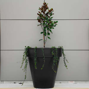 Madrid 1200 Planter. 1.23m High.
