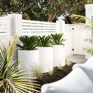 The Cylindrus Planter Pot Range: Cylindrus 9060 Planter. 90cm H x 60cm W