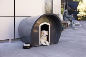 Modscene Dog Manors: Medium Dog Manor With Chew Guard