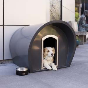 Modscene Dog Manors: Medium Dog Manor + Chew Guard