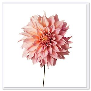 New Baby 1: Card - Pink Dahlia