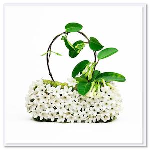 Cards: Card - Stephanotis Bag