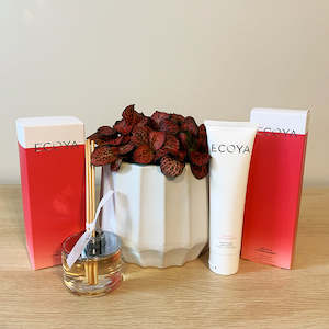 Bundles: Fittonia + Ecoya Gift Pack