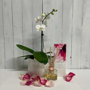 Bundles: Pretty gift bundle with a white Phalaenopsis Orchid and a Linden Leaves diffuser