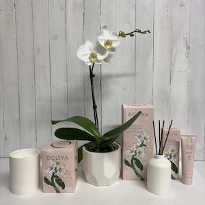 Deluxe Mother's Day bundle - Stunning Orchid & lovely Ecoya products