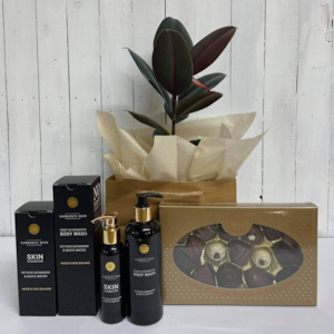 The perfect  Bundle - Ficus Burgundy- stylish and easy care