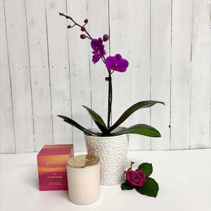 Bundles: JACOB CARTER CANDLE + ORCHID BUNDLE