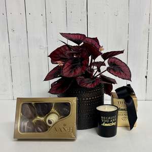 Stylish Gift Set - Houseplant, Candle and Chocolate