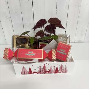 Bundles: Delux Christmas Bundle - A tray full of Cheer
