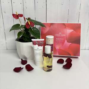Bundles: With Love - Aromatherapy Wellness and Plant bundle