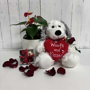 Adorable Woofs & Kisses Valentine's Day bundle