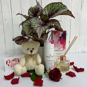 Colourful Begonia Salsa and Teddy Bear Bundle