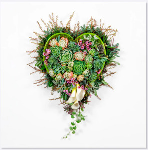 Valentines Day: Card - Succulent Heart
