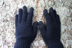 Products: Possum Merino Glove – The Conductive