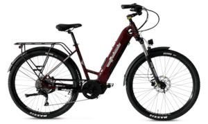 Electric Bikes: Wattwheels Bighorn LS V4 E-Bike