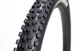 Bike Parts: Maxxis Dissector G2 29"