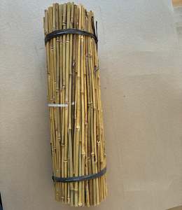 60cm bamboo stake