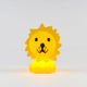 Lion First Light