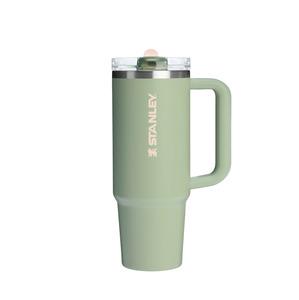 Stanley The Quencher ProTour Flip Straw Tumbler Lichen 30 OZ