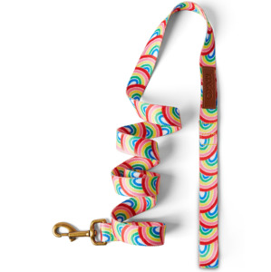 Dog Beds And Accessories: Kip & Co Rainbow Spray Dog Lead