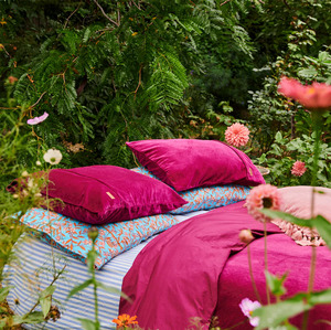 Kip & Co Anemone Velvet Pillowcases 2P Std Set