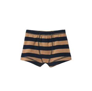 Nature Baby 1: Nature Baby Underpants Navy/Caramel Stripe