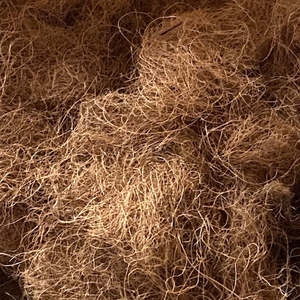 Coir Fibre Teased