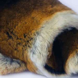 RABBIT SKIN Danube / Whole Hide