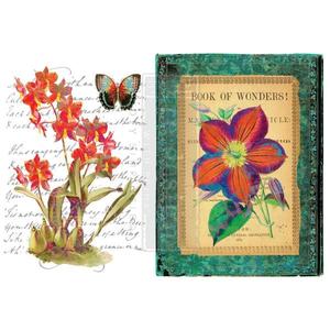 REDESIGN Transfer Wondrous Flora