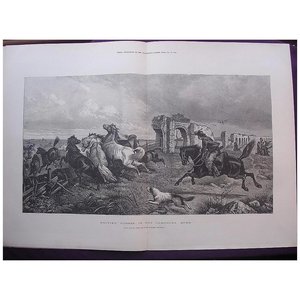 Products: Driving Horses In The Campagna, ROME' - Illustrated London News Oct. 29 1881