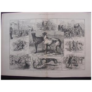 The Coursing Meeting At Altcar, Near Liverpool' - The Illustrated London News Feb. 26 1881