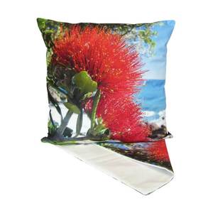 Beach And Summer Fun: Pohutukawa blossom cushion cover