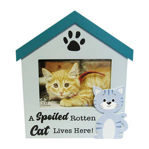 Cats And Dogs: Spoiled cat photo frame