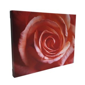 A2 Mounted Canvas Print