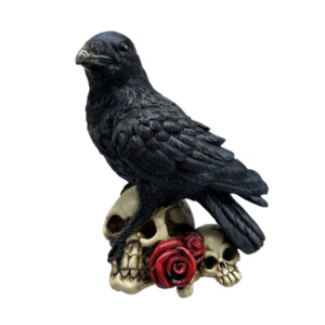 Raven on Skulls
