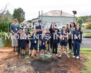 Ross School 150th Reunion - Tree Planting