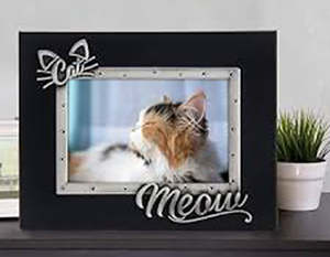 6x4 Cats Meow Frame